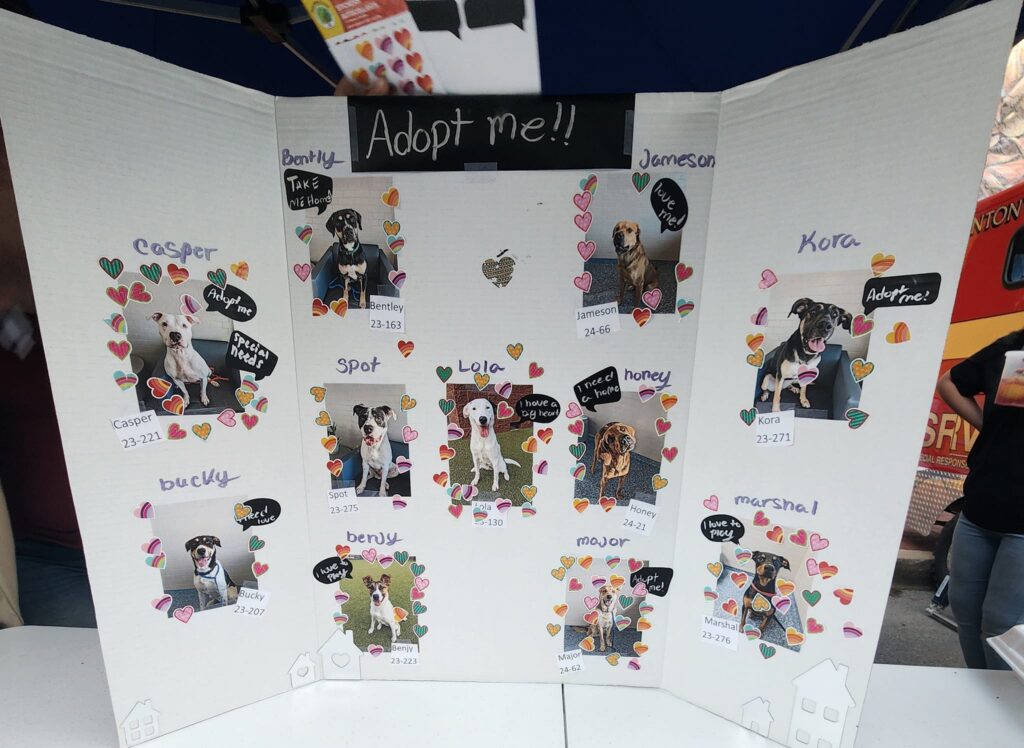  An "Adopt me!!" poster featuring photos of various dogs available for adoption is colorfully decorated with heart-shaped designs. 
